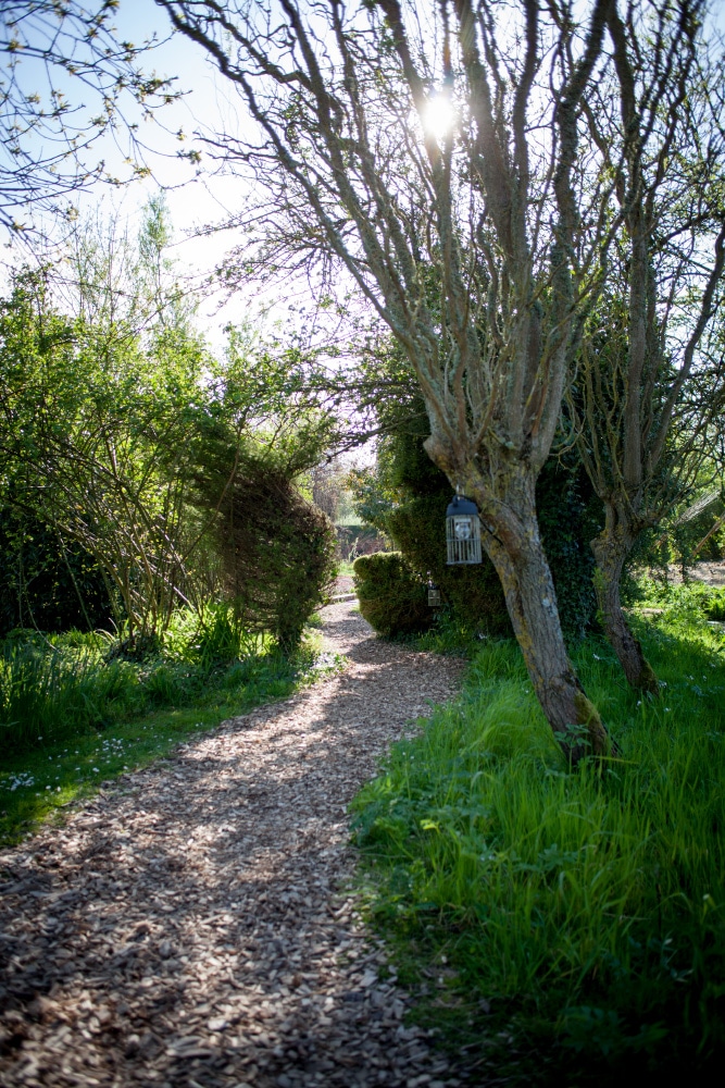 Chemin sous les arbres menant à La Grenouillère