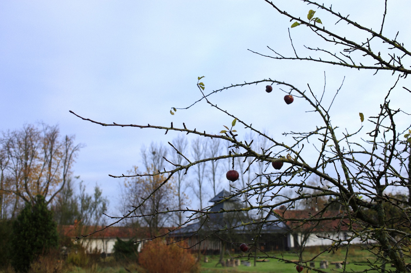 La Grenouillère — le lieu, vue 11