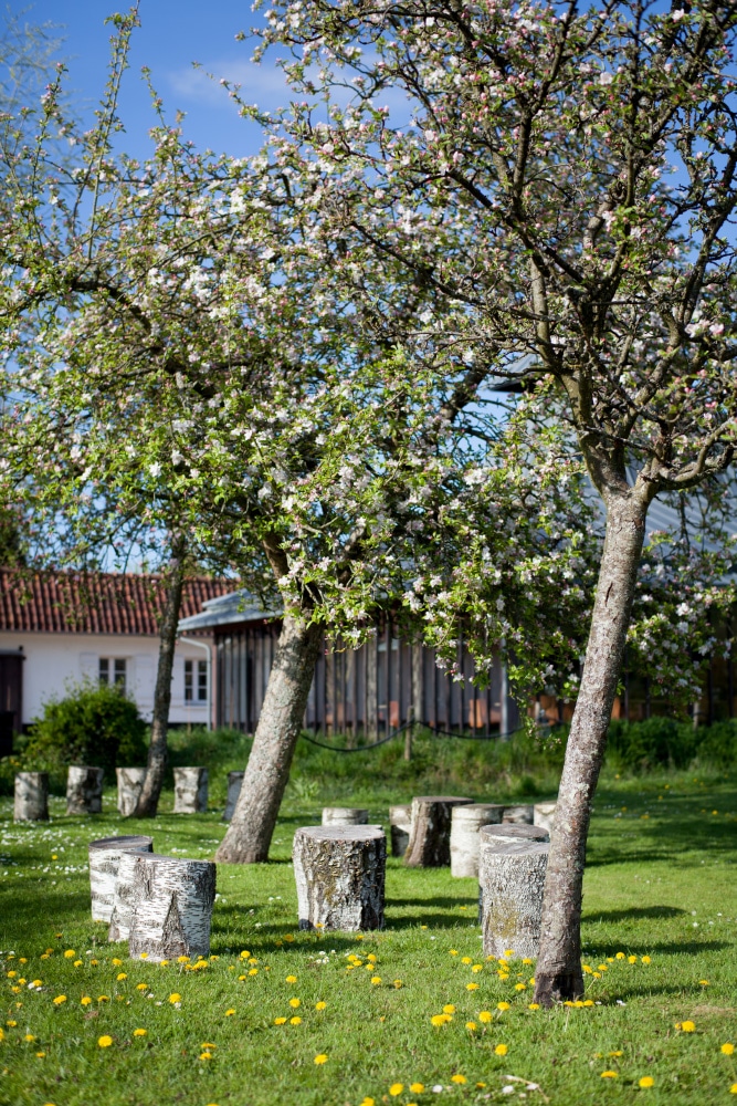 La Grenouillère — le lieu, vue 17