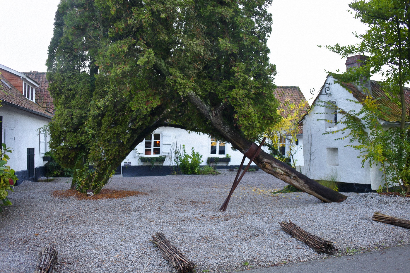 La Grenouillère — le lieu, vue 2